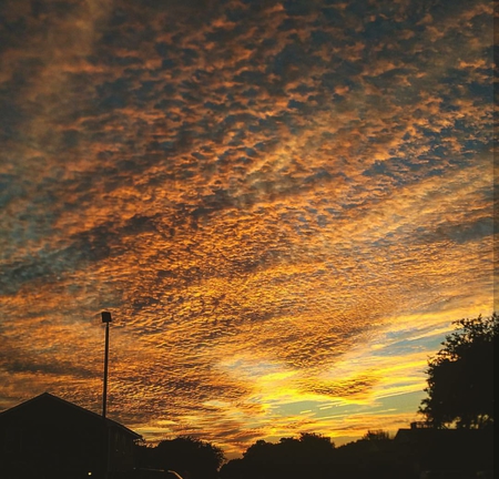 Britney Hansen - Cotton Ball Clouds
