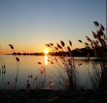 Britney Hansen - Evenings on the Marsh