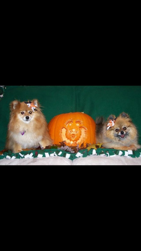 Lexie and Calie 