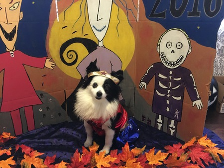 Bella