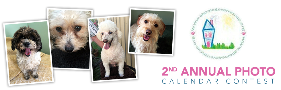 Banner for A Home 4 Ever 2nd Annual Photo Calendar Contest