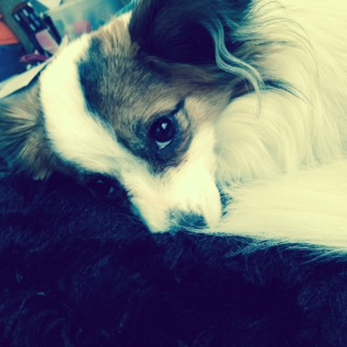 Tinkerbell