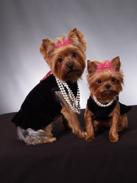 Tazzy & Peanut
