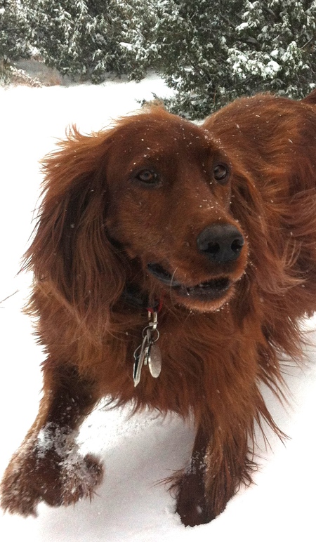 Rosie
