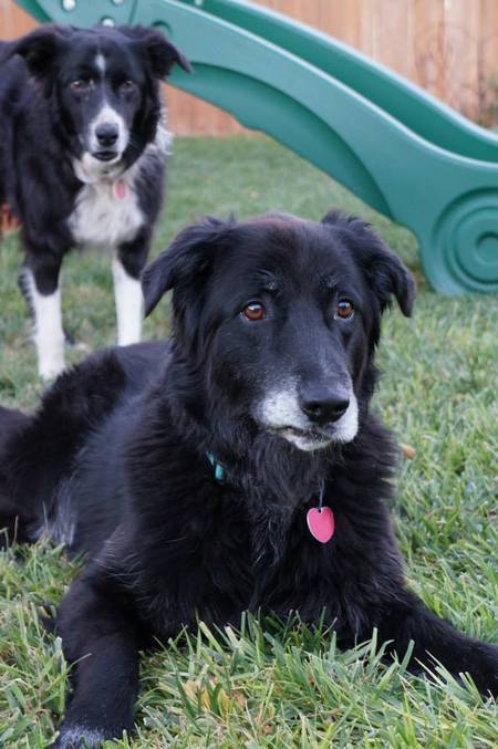 Tucker & Cooper