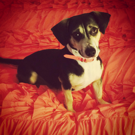 Roxy Mae