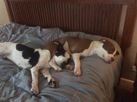Clark & Payton