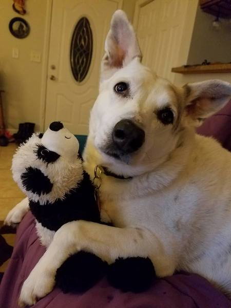Jack