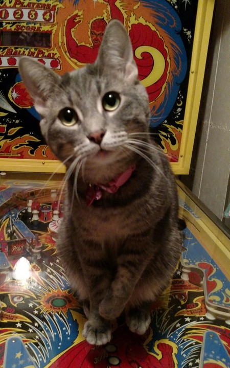 Gabby