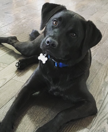 Winnie
