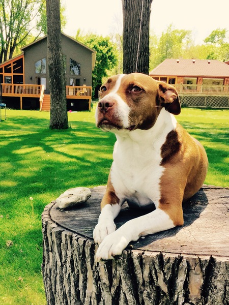 Ruby