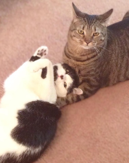 Stella and Eleanor 