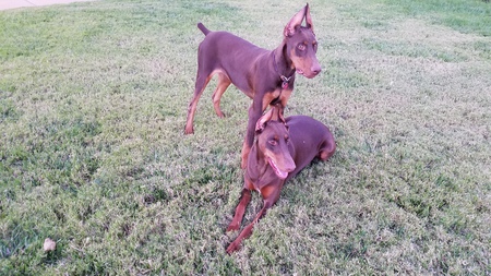Laya and Zeke