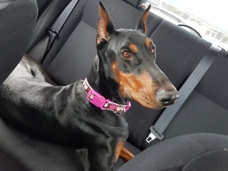 Ellie