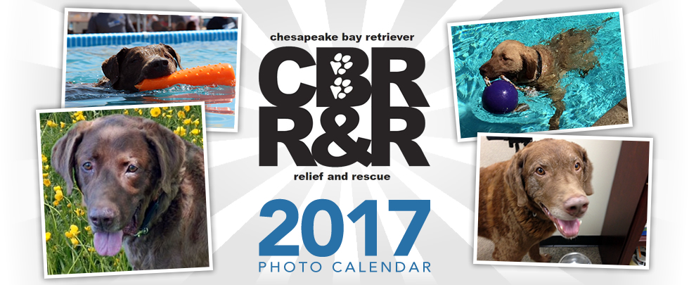 Banner for 2017 CBR Relief & Rescue Photo Calendar