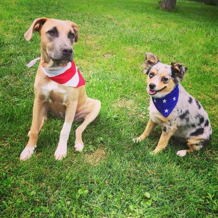 Copper & Lexi