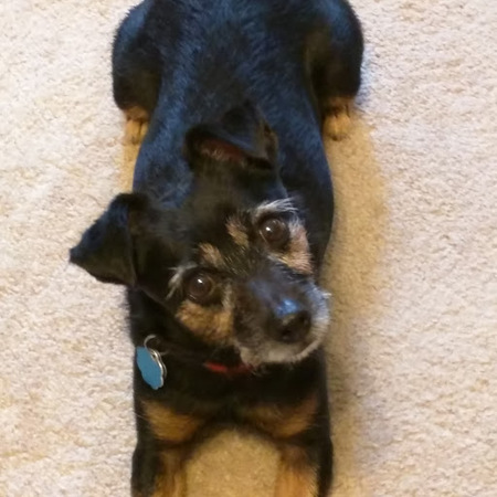 Zoey