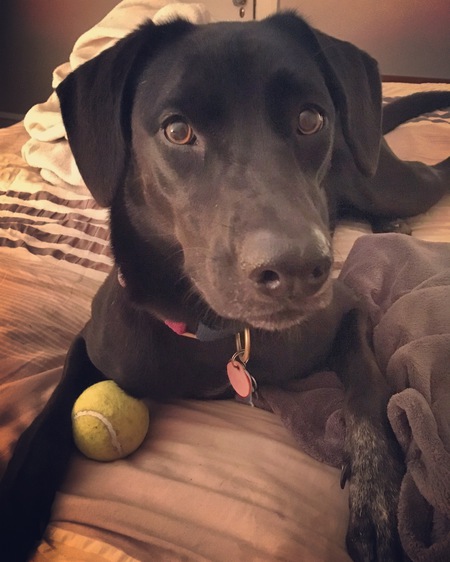 Lucy