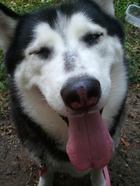 Shasta Marie