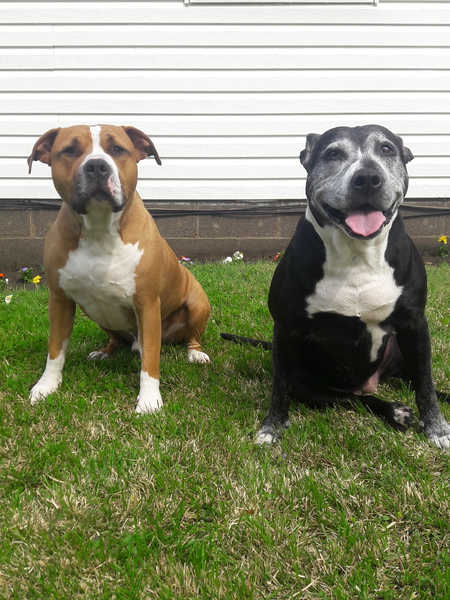 King and Meika