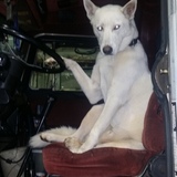 Entry image for Ghost