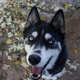 Entry image for Oona Star