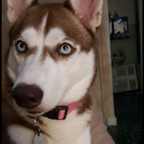 Entry image for Valentina Isabel