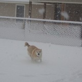 Entry image for Luca