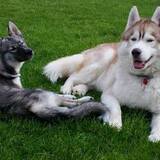 Entry image for Kenna and Thatcher