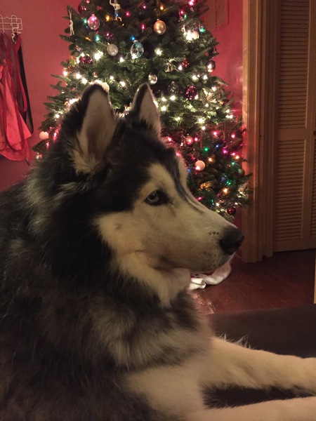 Big Boy