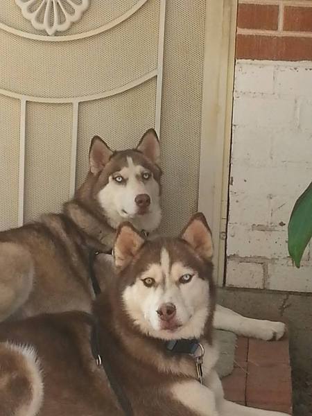 Ember and Cinder