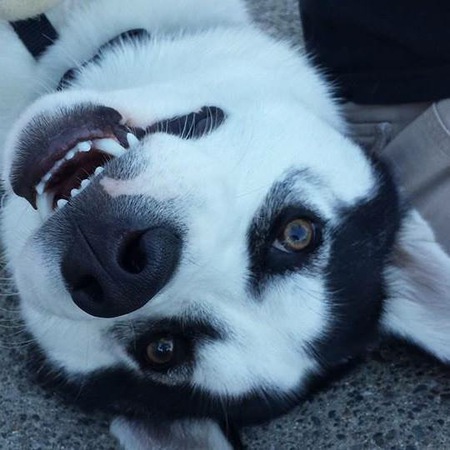 Keiki