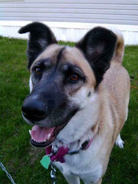 Bella