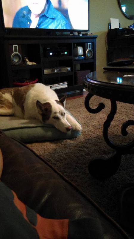 Buster