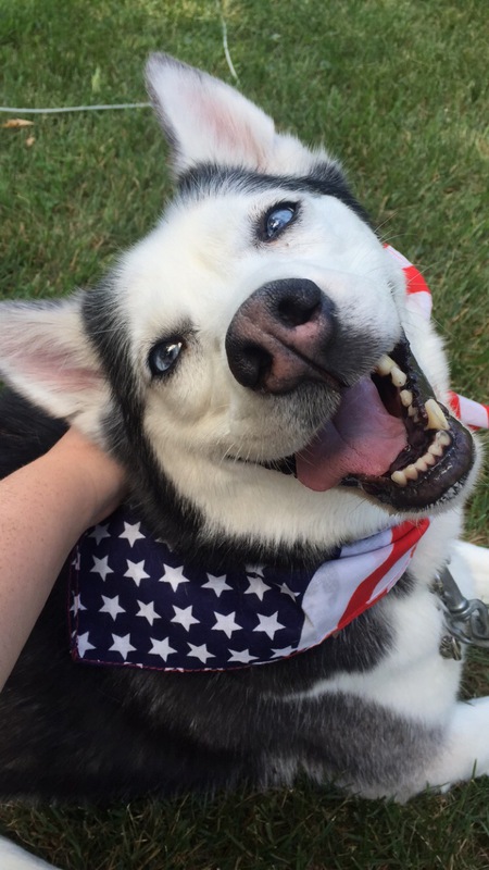 Maya