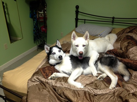 Zoe and Maya