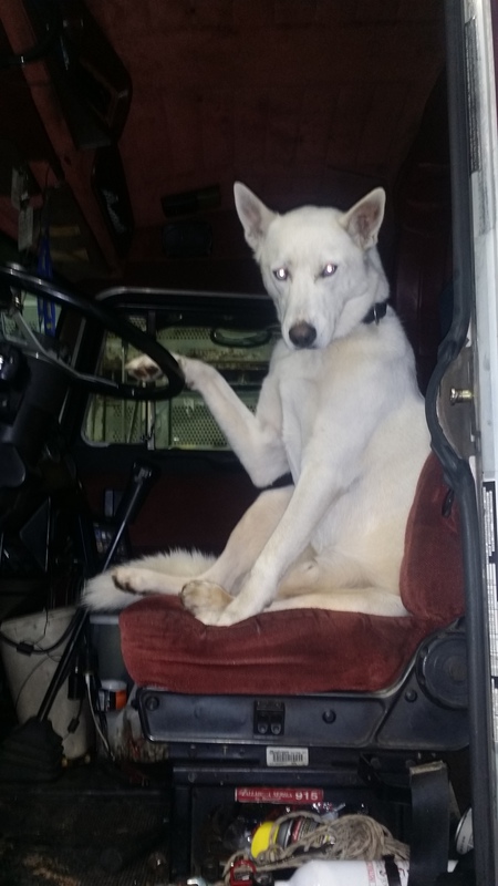 Entry image for Ghost. Clicking this image will show a larger photo