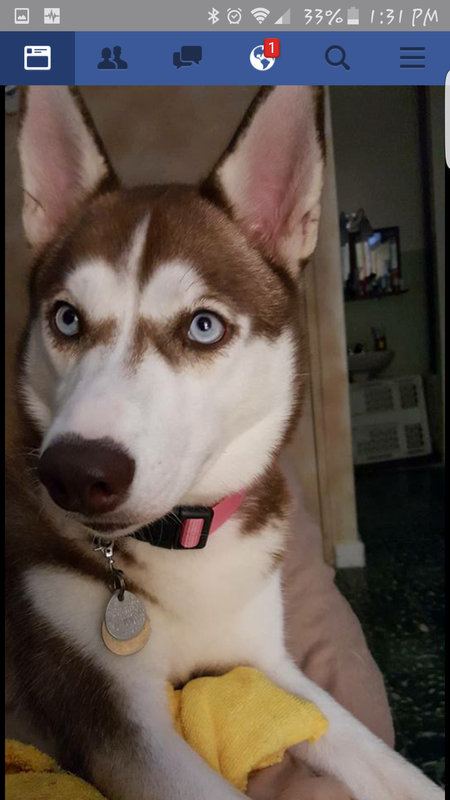 Entry image for Valentina Isabel. Clicking this image will show a larger photo