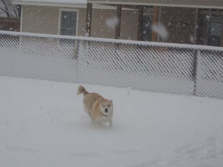 Entry image for Luca. Clicking this image will show a larger photo