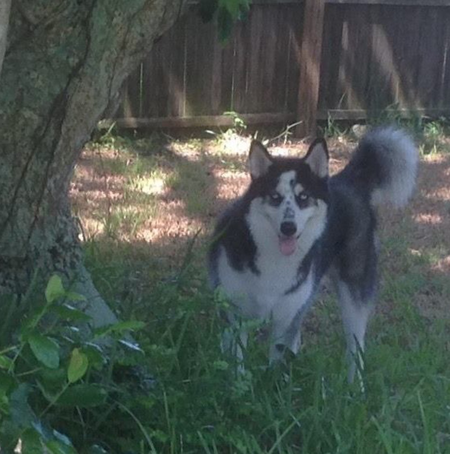 Bella
