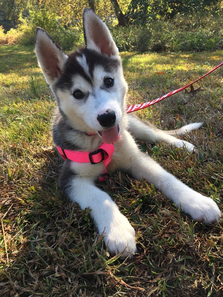 Luna