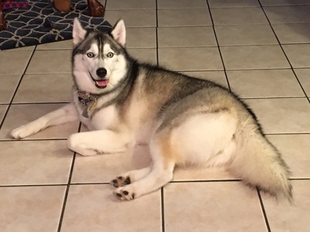 Faith Cheyenne Belle