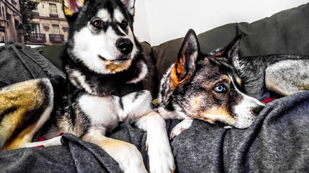 Data and Pixel