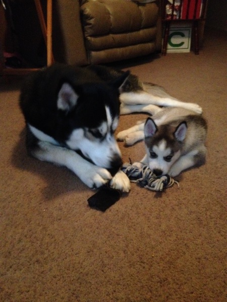 Winter Kiana and Chicotay
