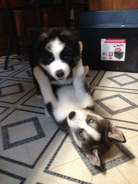 Dakota and Nikita