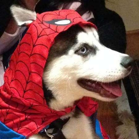 Loki