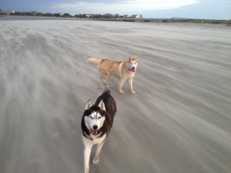 Tikaani and Kyana 