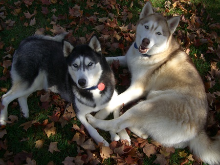 Tikaani and Kyana 