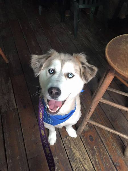 Max