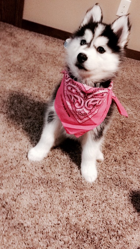 Kiya